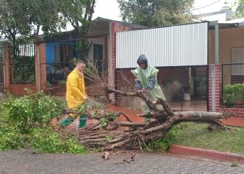 Posadas: solicitan circular con precaución por trabajos de levantamiento de ramas