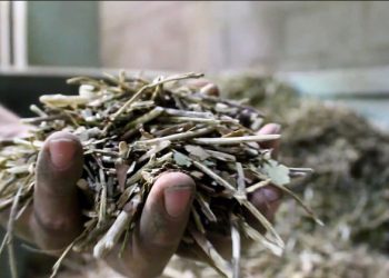 La Mesa Provincial de Producción Orgánica capacita a profesionales para la implementación de la normativa orgánica