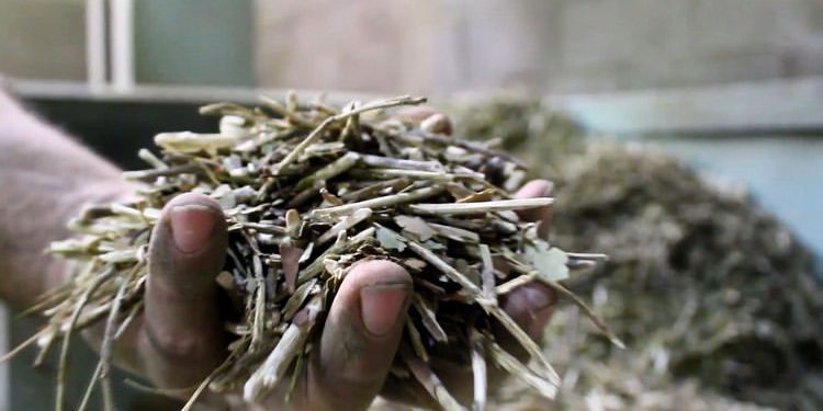 La Mesa Provincial de Producción Orgánica capacita a profesionales para la implementación de la normativa orgánica