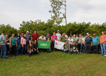 El Ministerio del Agro consolida cuencas de frutas para la diversificación productiva en Misiones