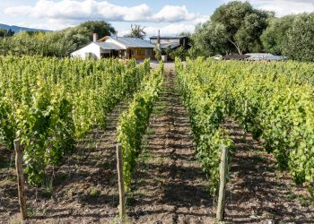 El Gobierno Nacional  oficializó la eliminación de las retenciones para las economías regionales