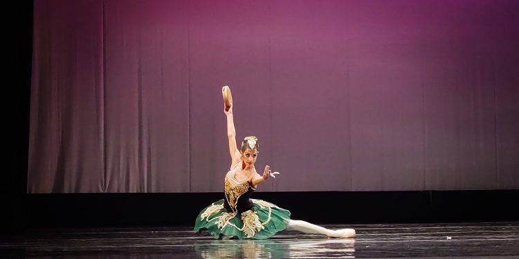 Posadas: se viene una nueva edición del CILD en el Teatro Lírico