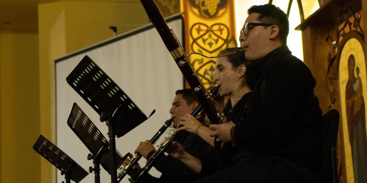 La Orquesta de Cámara del Parque se presentará este sábado en Itaemebé Guazú