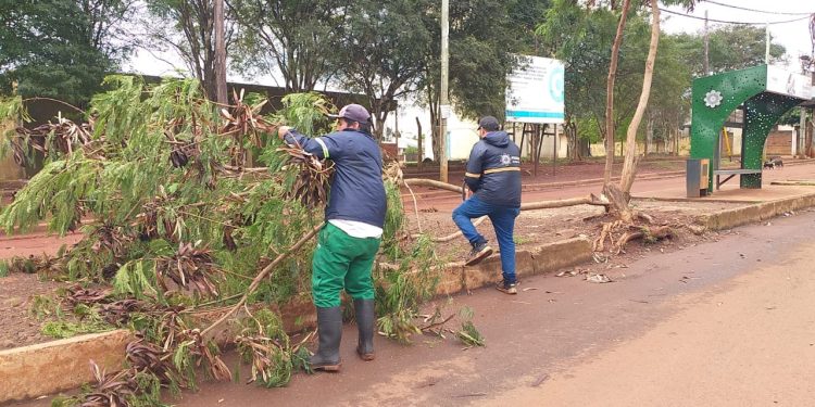 Posadas: refuerzan labores en desobstrucción de drenajes y remoción de árboles caídos