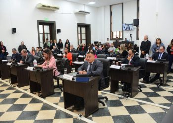 Posadas:  concejales aprobaron la adhesión al programa municipal de Protección de Abejas