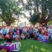 Más de 500 adultos mayores participaron del Programa Mayores Activos en el día de la primavera