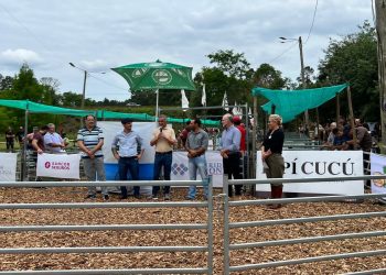 El Ministerio del Agro promueve la adquisición de reproductores de alta genética a través de líneas de crédito