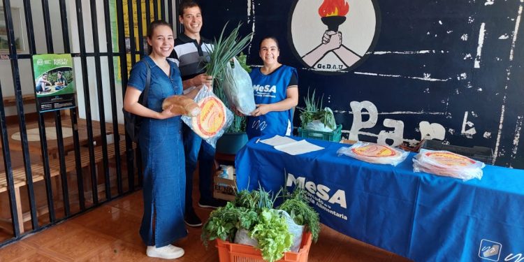 Agricultura Universitaria: la comercialización de combos de verduras se expande a San Vicente