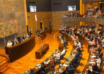 La Legislatura sancionó leyes para regular el acompañamiento terapéutico y las actividades relacionadas con el mercado de la seda