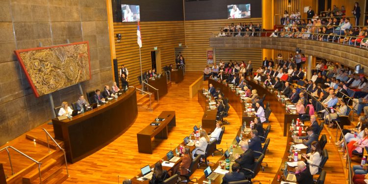 La Legislatura sancionó leyes para regular el acompañamiento terapéutico y las actividades relacionadas con el mercado de la seda