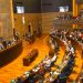 La Legislatura sancionó leyes para regular el acompañamiento terapéutico y las actividades relacionadas con el mercado de la seda