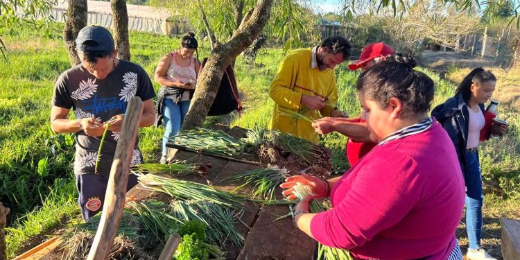 Ley de Emergencia Alimentaria: construye comunidad, fortalece procesos productivos, educativos, culturales y deportivos
