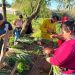 Ley de Emergencia Alimentaria: construye comunidad, fortalece procesos productivos, educativos, culturales y deportivos