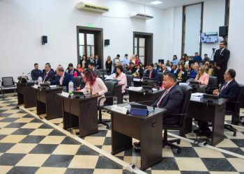 Posadas: concejales convocaron a una nueva edición del Parlamento Municipal de Personas con Discapacidad 2023