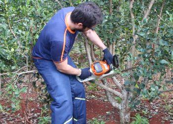 Se habilitó el Programa de Motoguadañas y Motosierras que promueve el empleo en la interzafra