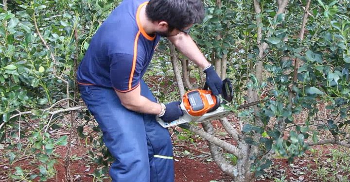 Se habilitó el Programa de Motoguadañas y Motosierras que promueve el empleo en la interzafra