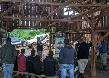 Continúan las capacitaciones en manejo de yerbales dañados por granizo