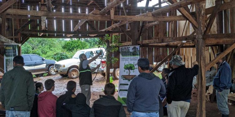 Continúan las capacitaciones en manejo de yerbales dañados por granizo