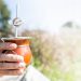 El mate, la más argentina de las tradiciones, celebra su día
