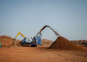 Posadas: proceso de chipeado recupera 40 mil metros cuadrados de suelo