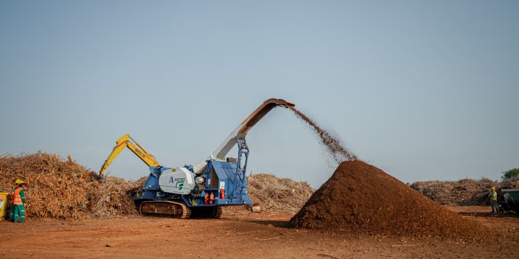 Posadas: proceso de chipeado recupera 40 mil metros cuadrados de suelo