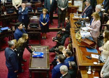 Arce, Rojas Decut y Goerling juraron como senadores por Misiones