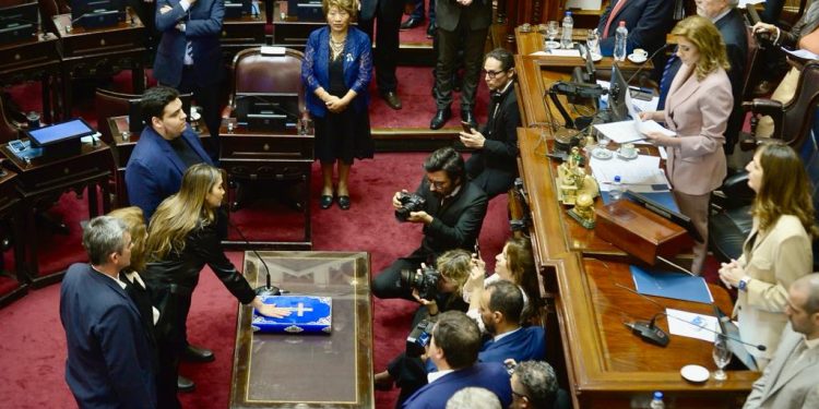 Arce, Rojas Decut y Goerling juraron como senadores por Misiones