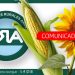 Derechos de exportación al maíz y girasol, otros cultivos que pierden renta y competitividad