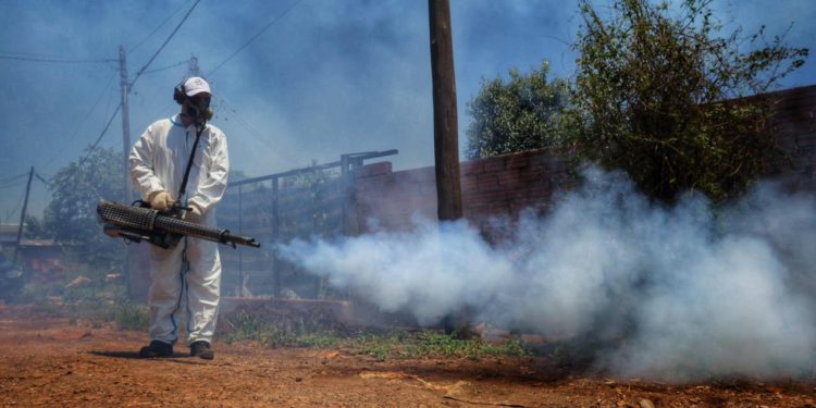 Passalacqua impulsa medidas contra el dengue con nueva línea de créditos para municipios
