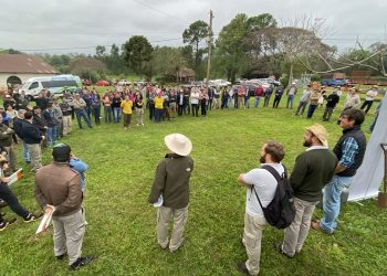 Balance 2023: el Área Técnica del INYM desarrolló una intensa actividad de apoyo al sector yerbatero