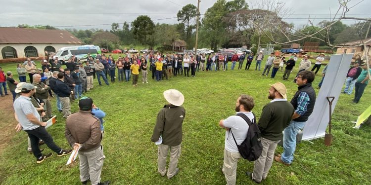 Balance 2023: el Área Técnica del INYM desarrolló una intensa actividad de apoyo al sector yerbatero