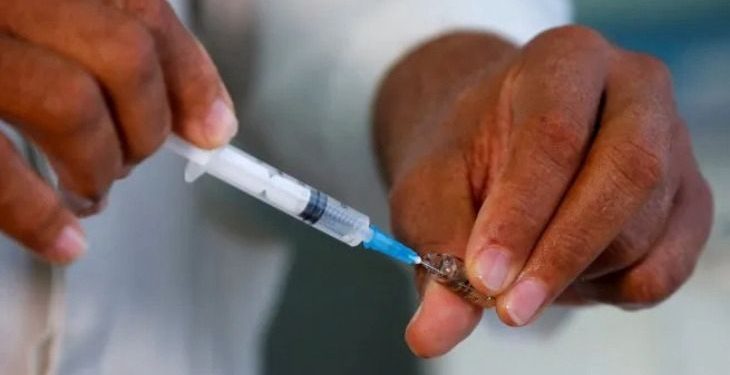 Misiones es la primera provincia del NEA en aplicar la vacunación gratuita contra el dengue