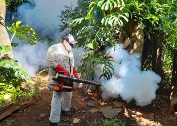 Misiones avanza con un plan integral para la lucha contra el dengue