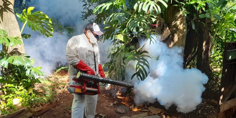 Misiones avanza con un plan integral para la lucha contra el dengue