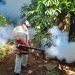 Misiones avanza con un plan integral para la lucha contra el dengue