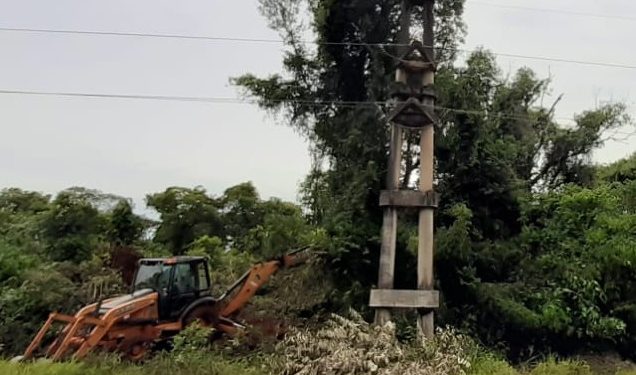 Energía de Misiones realizó operativos de limpieza en Comandante Andresito