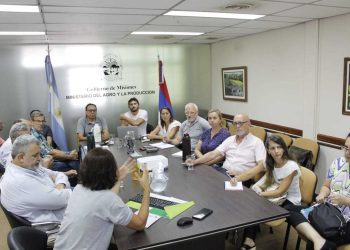 Identifican el agente causal de agallas en yerba mate y definen medidas que pueden aplicar los productores