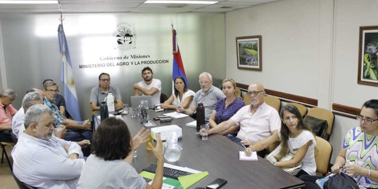 Identifican el agente causal de agallas en yerba mate y definen medidas que pueden aplicar los productores