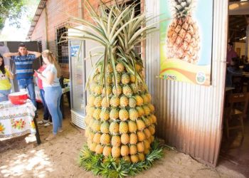 Colonia Aurora: todo listo para una nueva edición de la Fiesta del Ananá