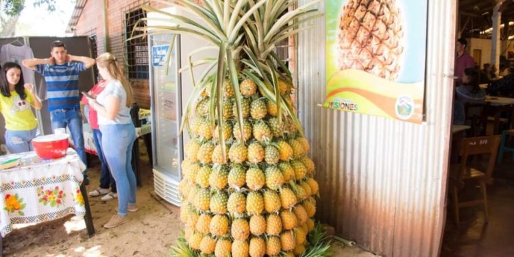 Colonia Aurora: todo listo para una nueva edición de la Fiesta del Ananá