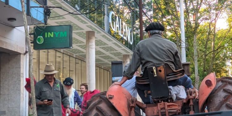 Un mercado paralelo para la yerba: nace el INYM “blue”