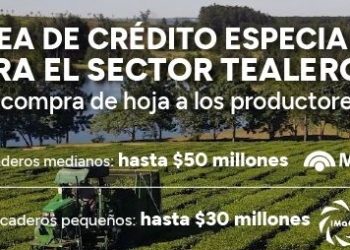 La nueva línea de crédito especial para secaderos de té ya otorgó financiamiento por $270 millones