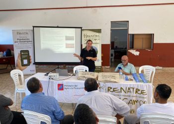 El Ministerio del Agro fortalece el sector tealero de Misiones con capacitaciones para los productores