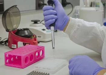 La toxina del veneno de serpiente de cascabel induce a células a combatir el cáncer