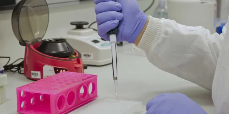 La toxina del veneno de serpiente de cascabel induce a células a combatir el cáncer