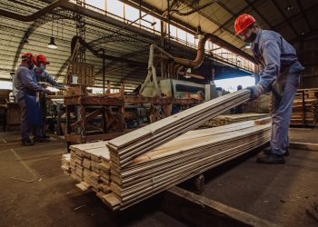 Misiones será sede de la jornada de difusión de los requisitos que entrarán en vigencia para todos los eslabones de la cadena forestal