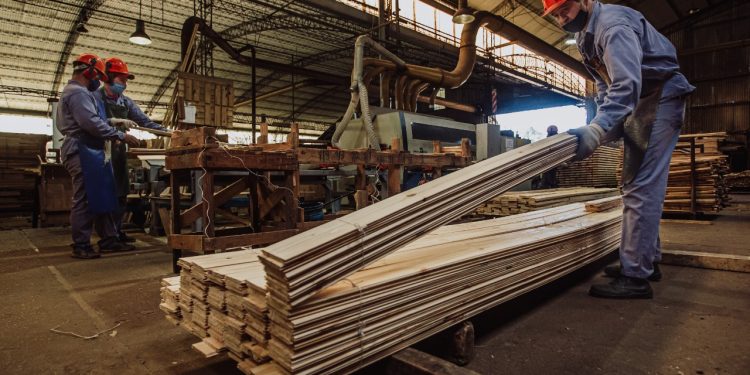 Misiones será sede de la jornada de difusión de los requisitos que entrarán en vigencia para todos los eslabones de la cadena forestal