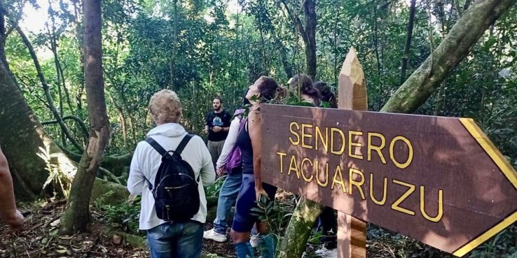 Puerto Rico: continúan los paseos por el emblemático Parque Natural Municipal Monte Seguín