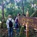 Puerto Rico: continúan los paseos por el emblemático Parque Natural Municipal Monte Seguín