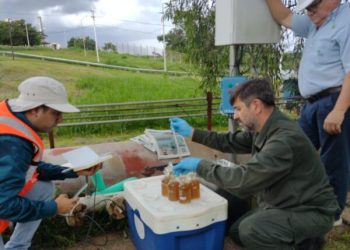 Tras el análisis de las muestras tomadas en el Paraná, multarán a la empresa Papel Misionero